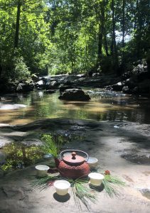 Forest Bathing