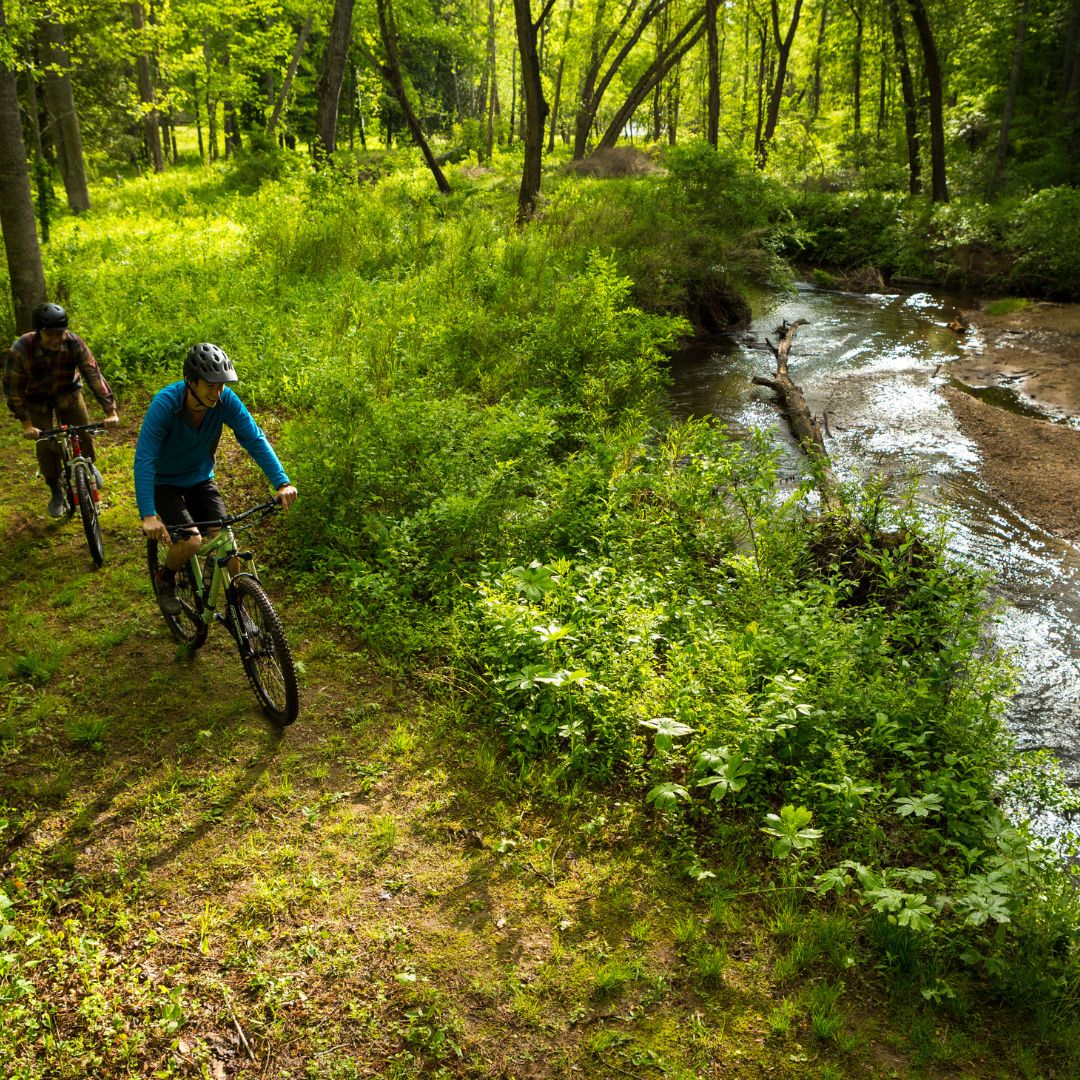 Dog-friendly trails at The North Carolina Arboretum